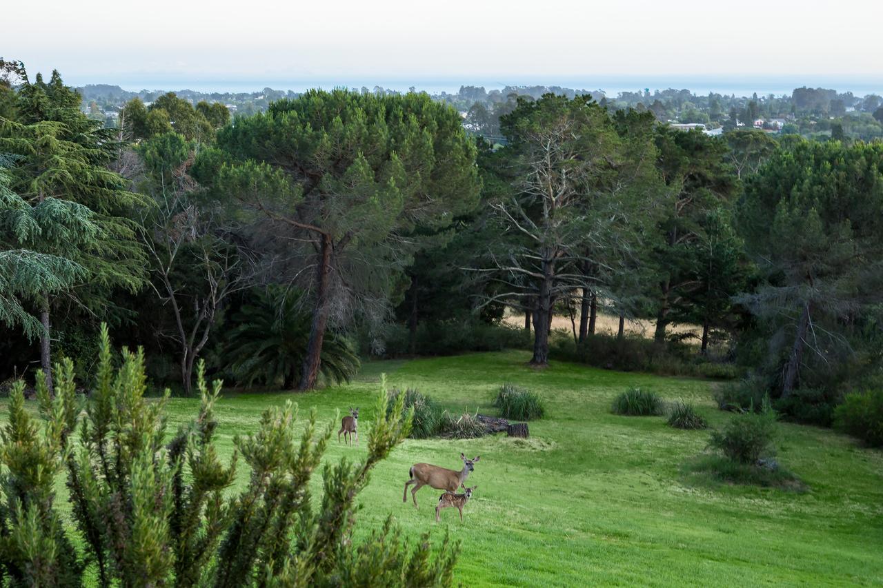 Chaminade Resort & Spa Santa Cruz Extérieur photo